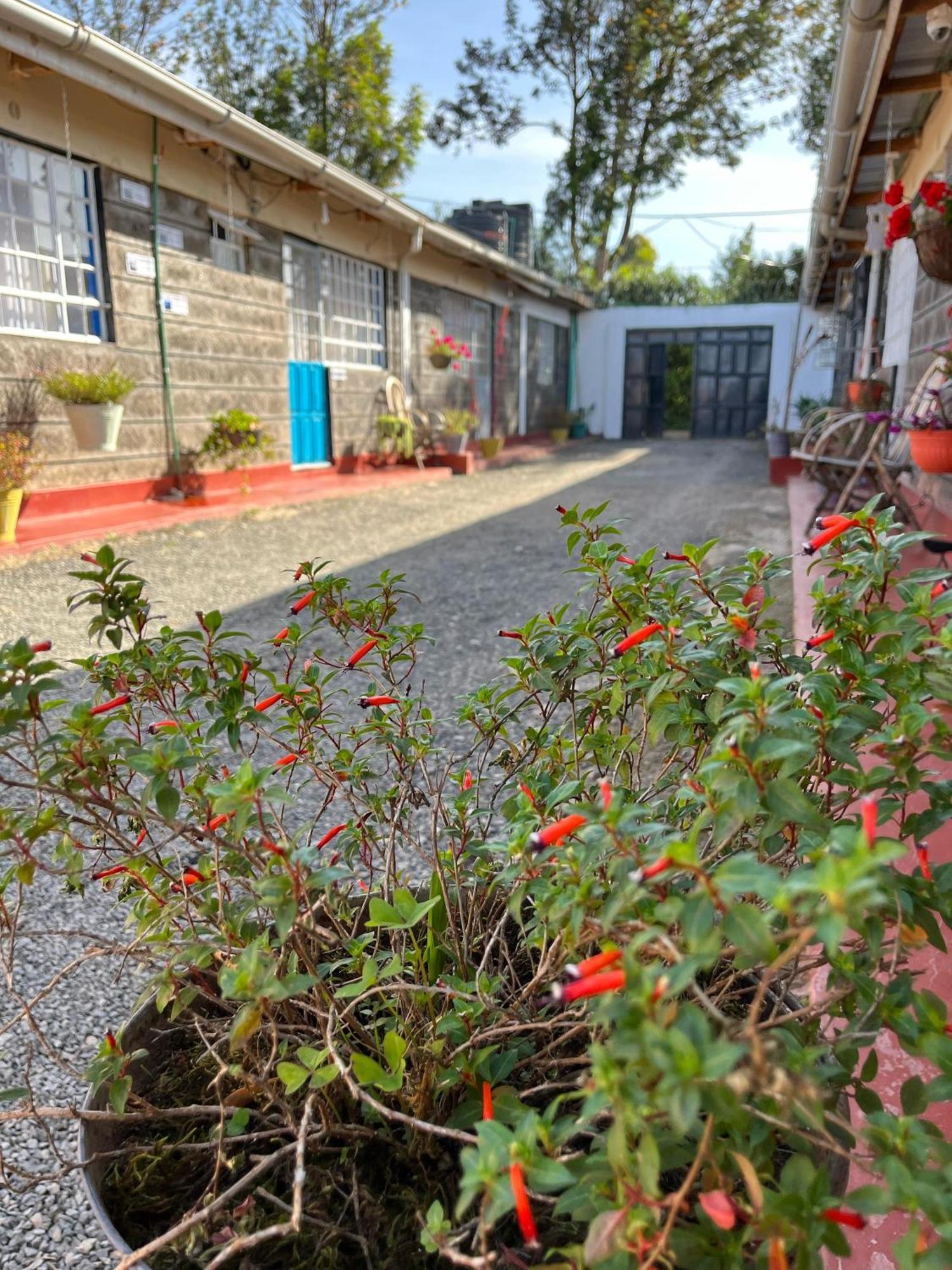 Rafiki House Hotel Nanyuki Exterior photo